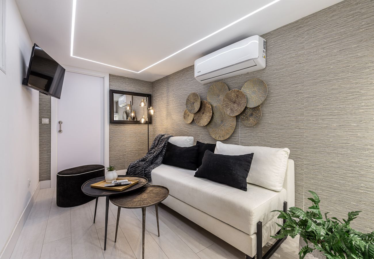 Apartment in Madrid - Queen's Opera I